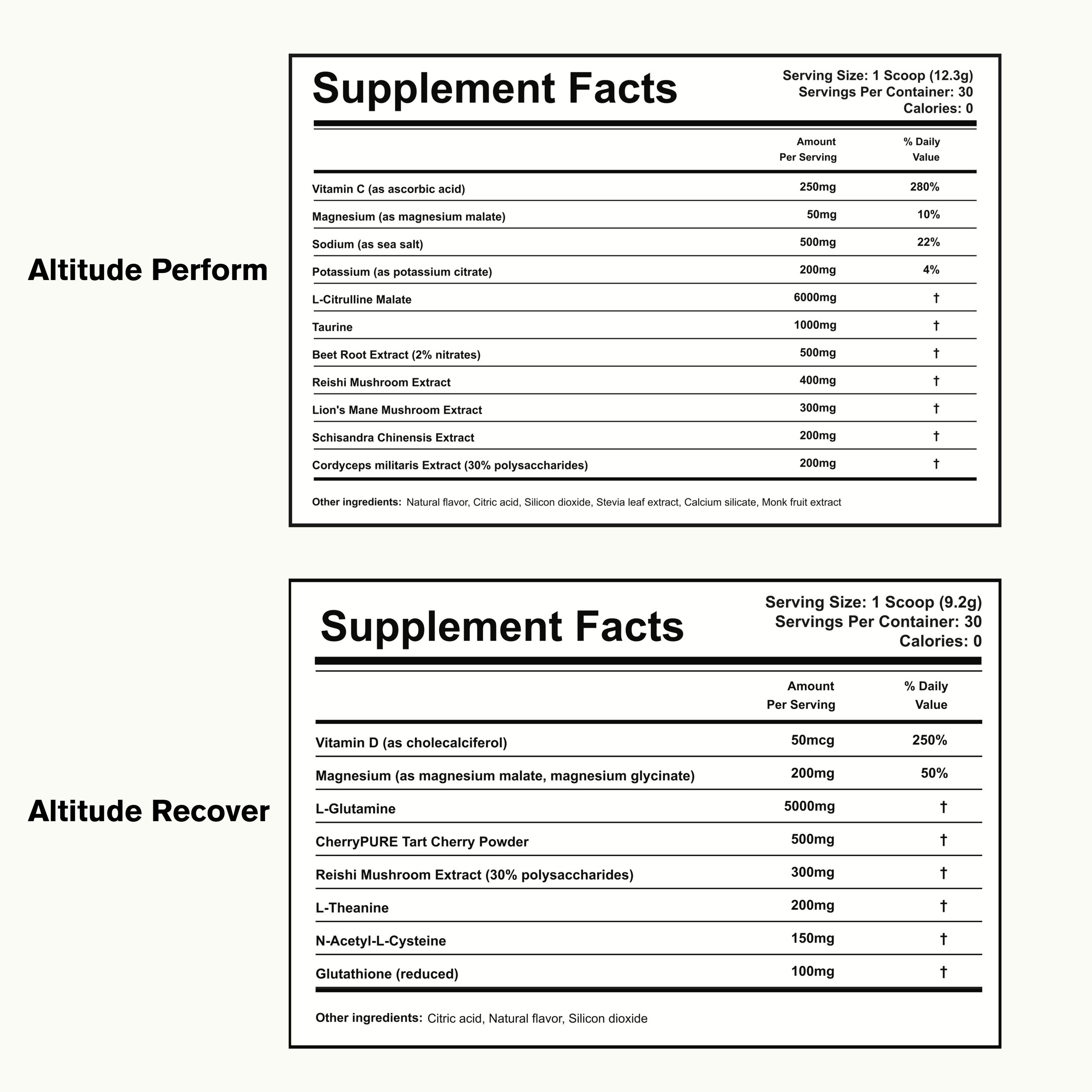 The Mountain Stack: Perform + Recover
