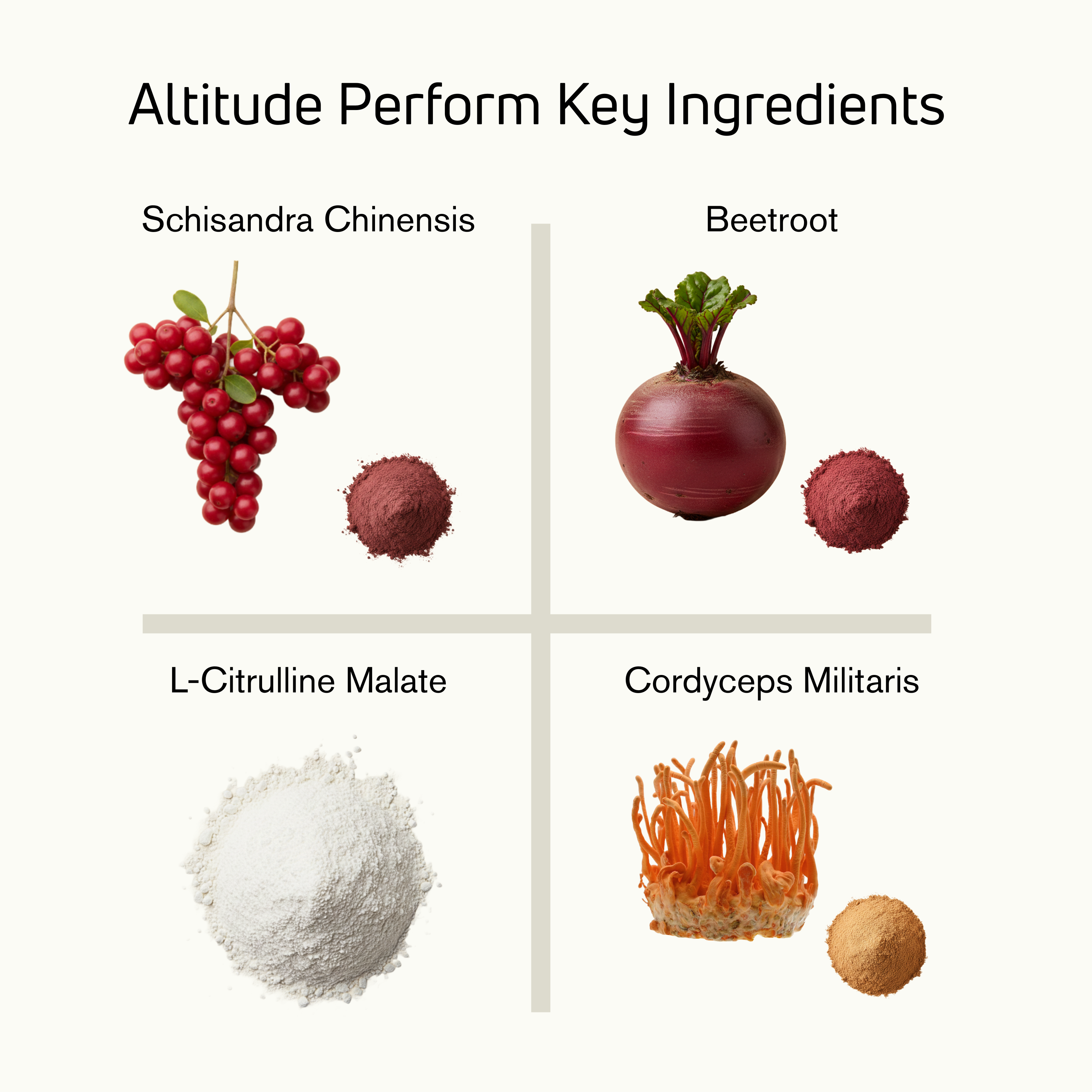 The Complete Altitude System: Prime, Perform, Recover